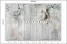 Fototapeta Kwiaty na Betonie do Salonu i Sypialni 450x315cm, 10037191