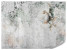 Fototapeta Kwiaty na Betonie do Salonu i Sypialni 350x256cm, 10038399