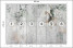Fototapeta Kwiaty na Betonie do Salonu i Sypialni 300x210cm, 10038419