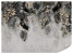Fototapeta Liście Tropikalne na Betonie do Salonu i Sypialni 200x140cm, 10039281