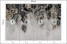 Fototapeta Liście Tropikalne na Betonie do Salonu i Sypialni 200x140cm, 10039283