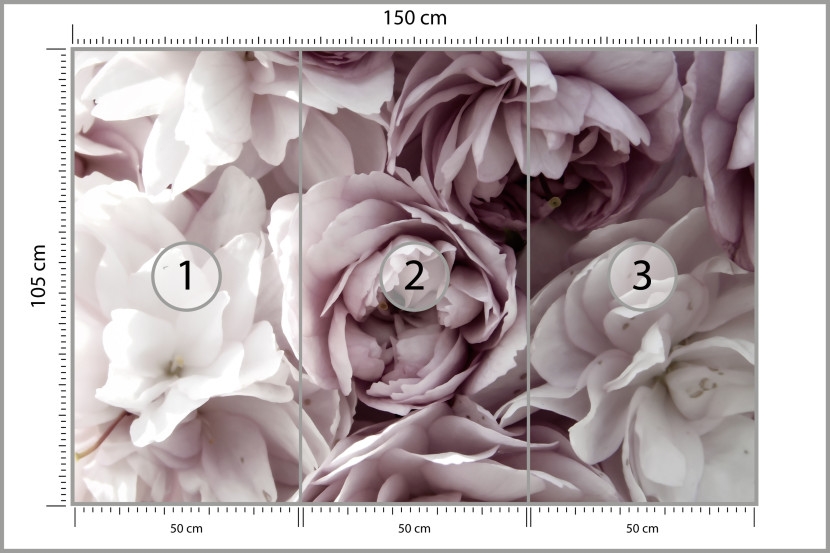 Fototapeta Pastelowe Kwiaty do Salonu i Sypialni 150x105cm, 10039550