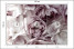 Fototapeta Pastelowe Kwiaty do Salonu i Sypialni 150x105cm, 10039550