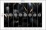 Fototapeta Czarne Liście ze Złotem do Salonu i Sypialni 400x280cm Glamour, 10040456