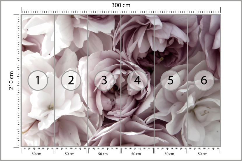 Fototapeta Pastelowe Kwiaty do Salonu i Sypialni 300x210cm, 10040483