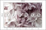 Fototapeta Pastelowe Kwiaty do Salonu i Sypialni 300x210cm, 10040483