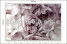 Fototapeta Pastelowe Kwiaty do Salonu i Sypialni 450x315cm, 10040690