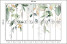 Fototapeta Akwarelowe Liście Eukaliptusa do Salonu i Sypialni 500x350cm, 10040759