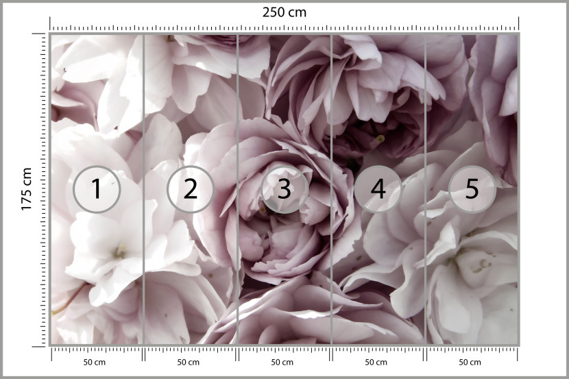 Fototapeta Pastelowe Kwiaty do Salonu i Sypialni 250x175cm, 10040797