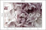 Fototapeta Pastelowe Kwiaty do Salonu i Sypialni 250x175cm, 10040797