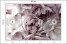 Fototapeta Pastelowe Kwiaty do Salonu i Sypialni 200x140cm, 10040852
