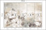 Fototapeta Abstrakcyjne Kremowe Kwiaty do Salonu i Sypialni 250x175cm, 10040881