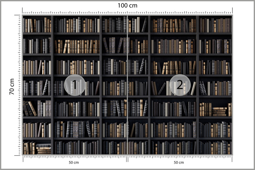 Fototapeta Regały z Książkami do Biura 100x70cm, 10041194