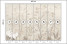 Fototapeta Białe Ptaki pośród Drzew do Salonu i Sypialni 400x280cm Boho, 10041307