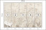 Fototapeta Białe Ptaki pośród Drzew do Salonu i Sypialni 250x175cm Boho, 10041521