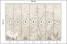 Fototapeta Białe Ptaki pośród Drzew do Salonu i Sypialni 350x256cm Boho, 10041559