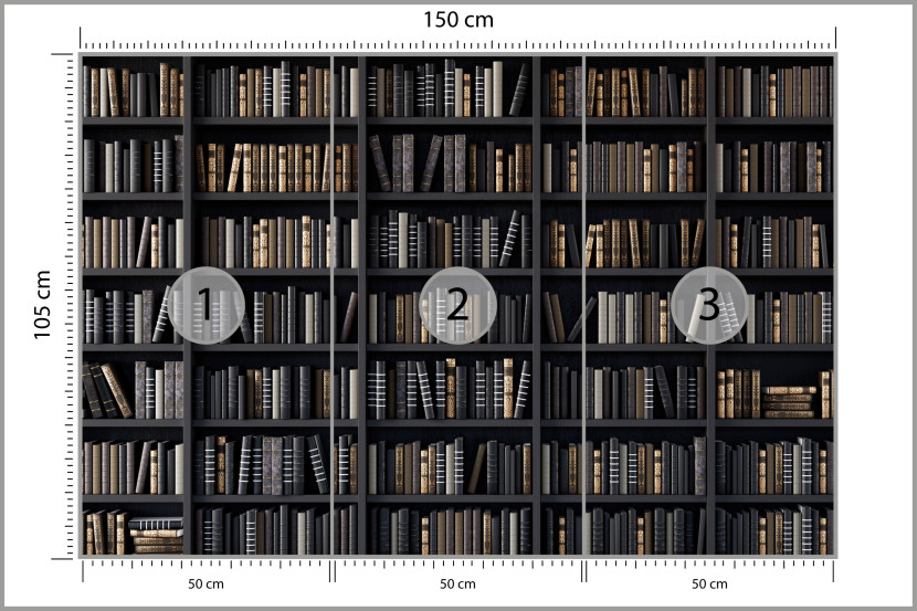 Fototapeta Regały z Książkami do Biura 150x105cm, 10041851
