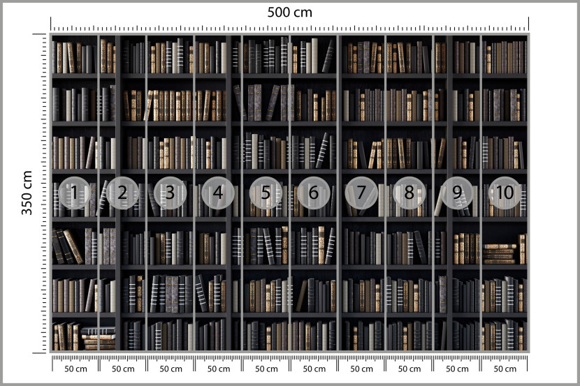 Fototapeta Regały z Książkami do Biura 500x350cm, 10041904