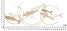Panel dekoracyjny 3D z rybami z metalu wielokolorowy 142,9x5x61,6 cm, 10430364