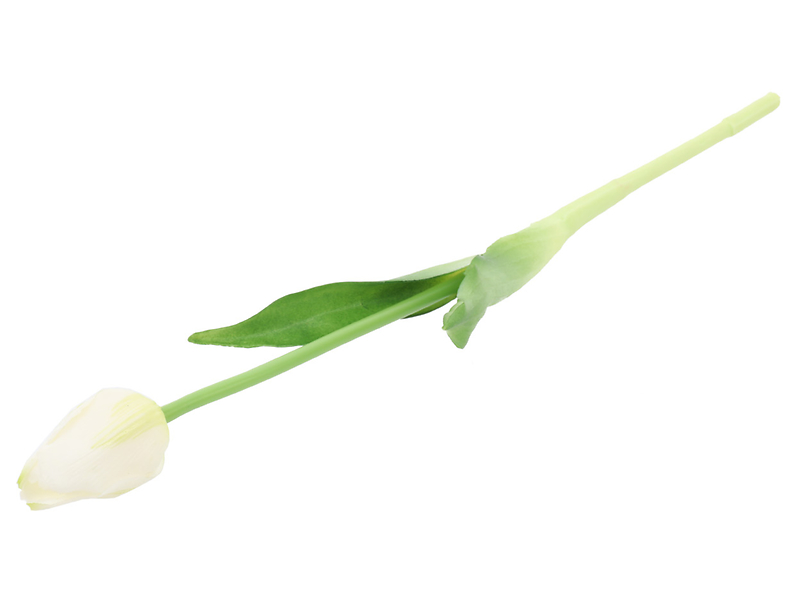 tulipan pojedynczy gumowany biały, 1050678