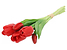 Inny kolor wybarwienia: bukiet tulipanów 28 cm 5 szt. gumowane czerwone