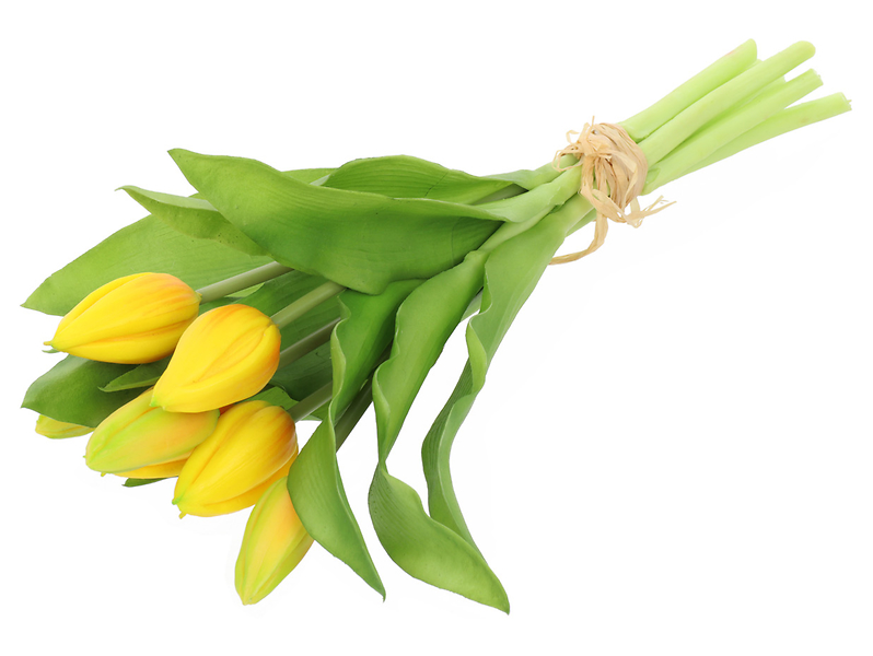 bukiet tulipanów 29 cm 7 szt. gumowane żółte, 1067825