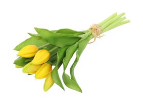 bukiet tulipanów 29 cm 7 szt. gumowane żółte