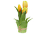 Inny kolor wybarwienia: tulipany w wiązce 20 cm 3 szt. gumowane żółte