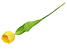 Produkt: tulipan pojedynczy 53 cm żółty