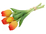 Inny kolor wybarwienia: bukiet tulipanów 28 cm 5 szt. gumowane żółto-czerwone