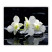 Inny kolor wybarwienia: Deska do Krojenia Szklana Kwiat Storczyk Biały 60x52 cm