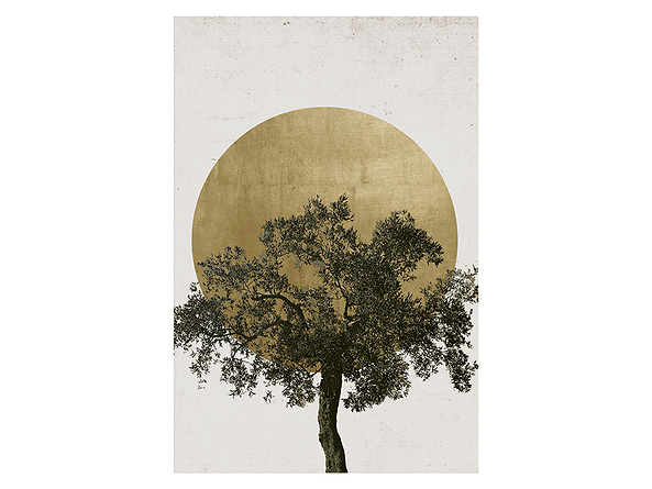 plakat Słońce i Drzewo, 118243