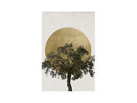 plakat Słońce i Drzewo