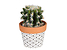 Produkt: sztuczny kaktus w doniczce