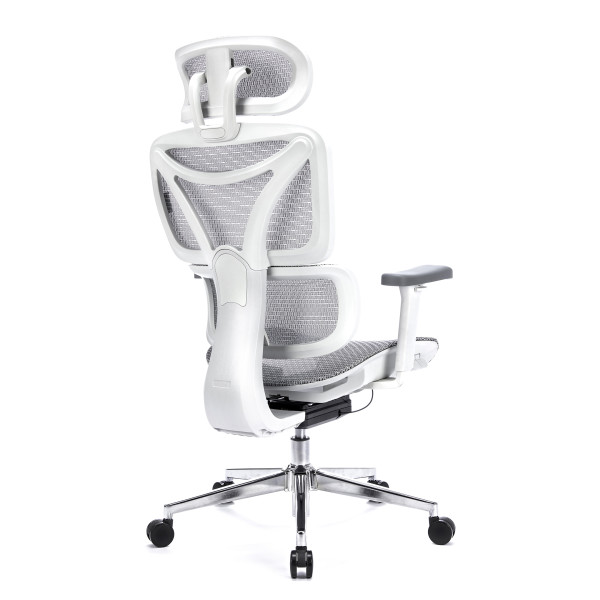 LEVANO SYSTEM Fotel ergonomiczny Control Pro Biały, 1245635