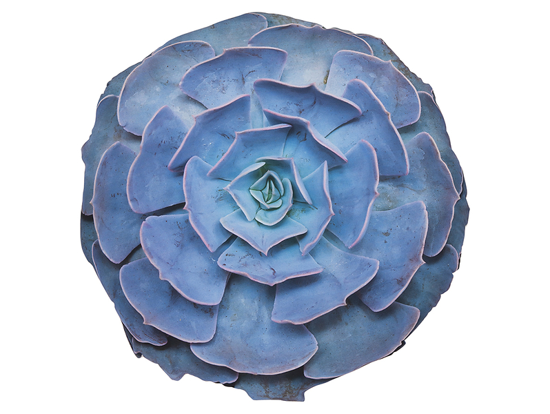 poduszka dekoracyjna Botanic Blue, 14273