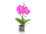 Produkt: sztuczna orchidea w doniczce