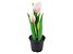 Inny kolor wybarwienia: sztuczny tulipan w doniczce