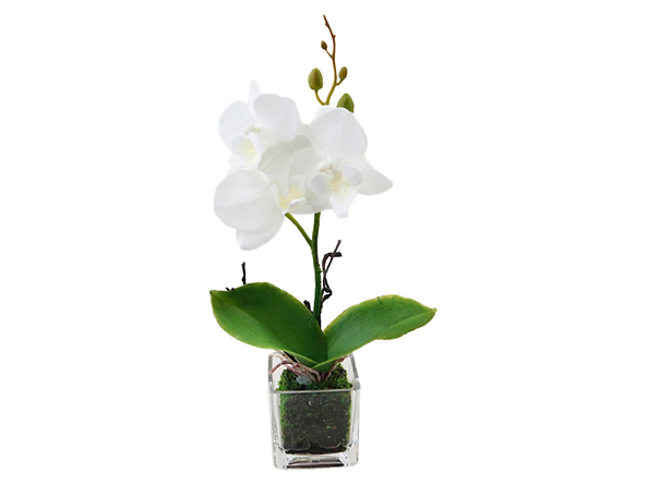sztuczna orchidea w doniczce, 154127