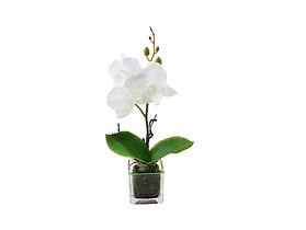 sztuczna orchidea w doniczce 