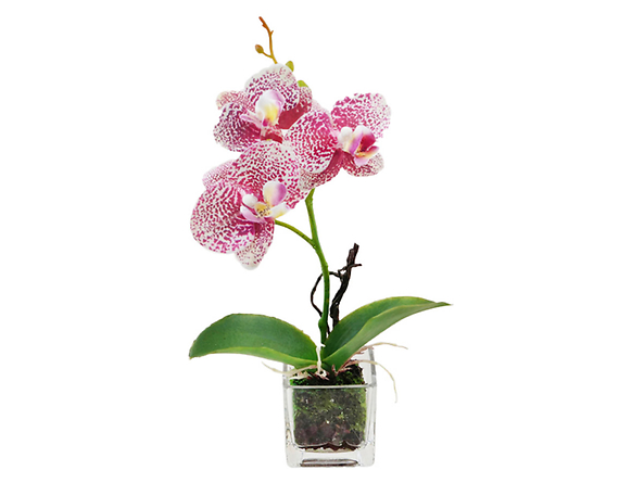 sztuczna orchidea w doniczce, 154128