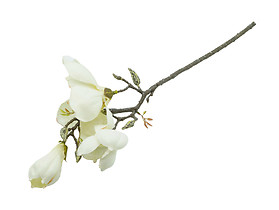 sztuczna gałązka magnolia