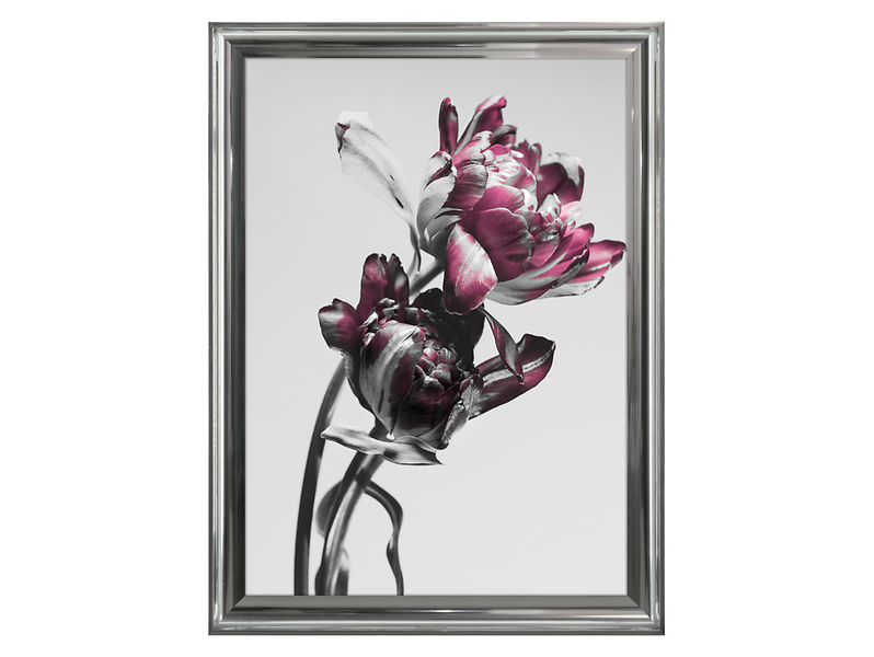 obraz Floral Model 50x70 cm, 162839