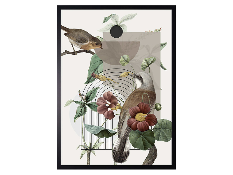 obraz Ptaki 50x70 cm, 165856