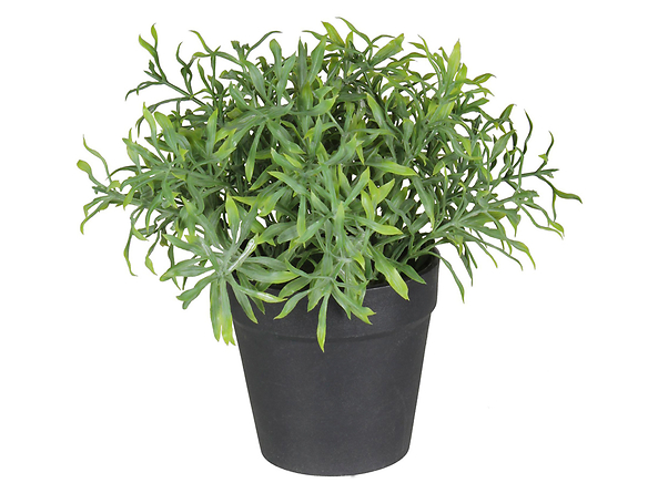 sztuczna roślina w doniczce Herbs 1, 171396