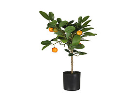 sztuczna roślina w doniczce Pomarańcza