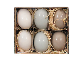 dekoracja wisząca 6 szt. jajka