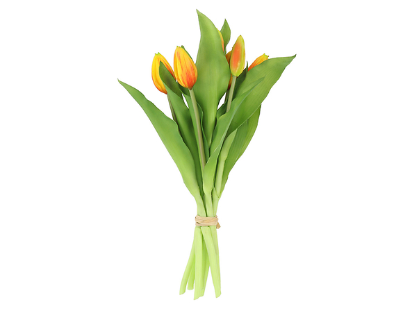 tulipany bukiet, 186536