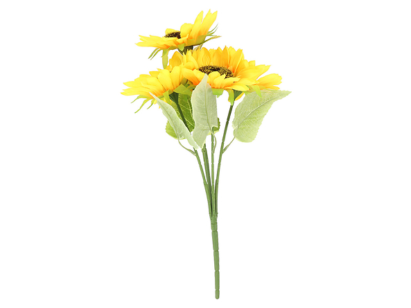 słonecznik bukiet 5 kwiatów, 186578