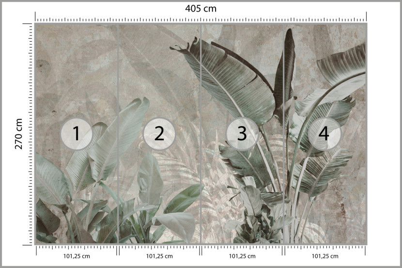 Fototapeta Liście Bananowe Na Betonie 405x270cm, 1994275